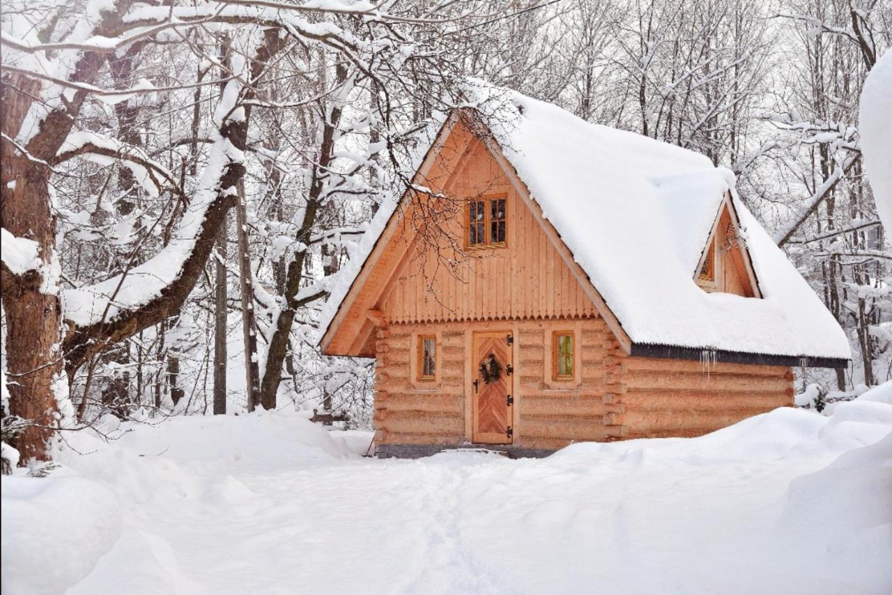 Tatrytop Domek Parzenica Zakopane Dış mekan fotoğraf